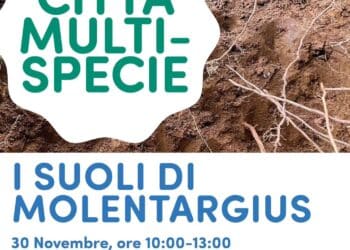 Cagliari esplora i suoli di Molentargius, terza passeggiata del ciclo “La Città Multispecie”